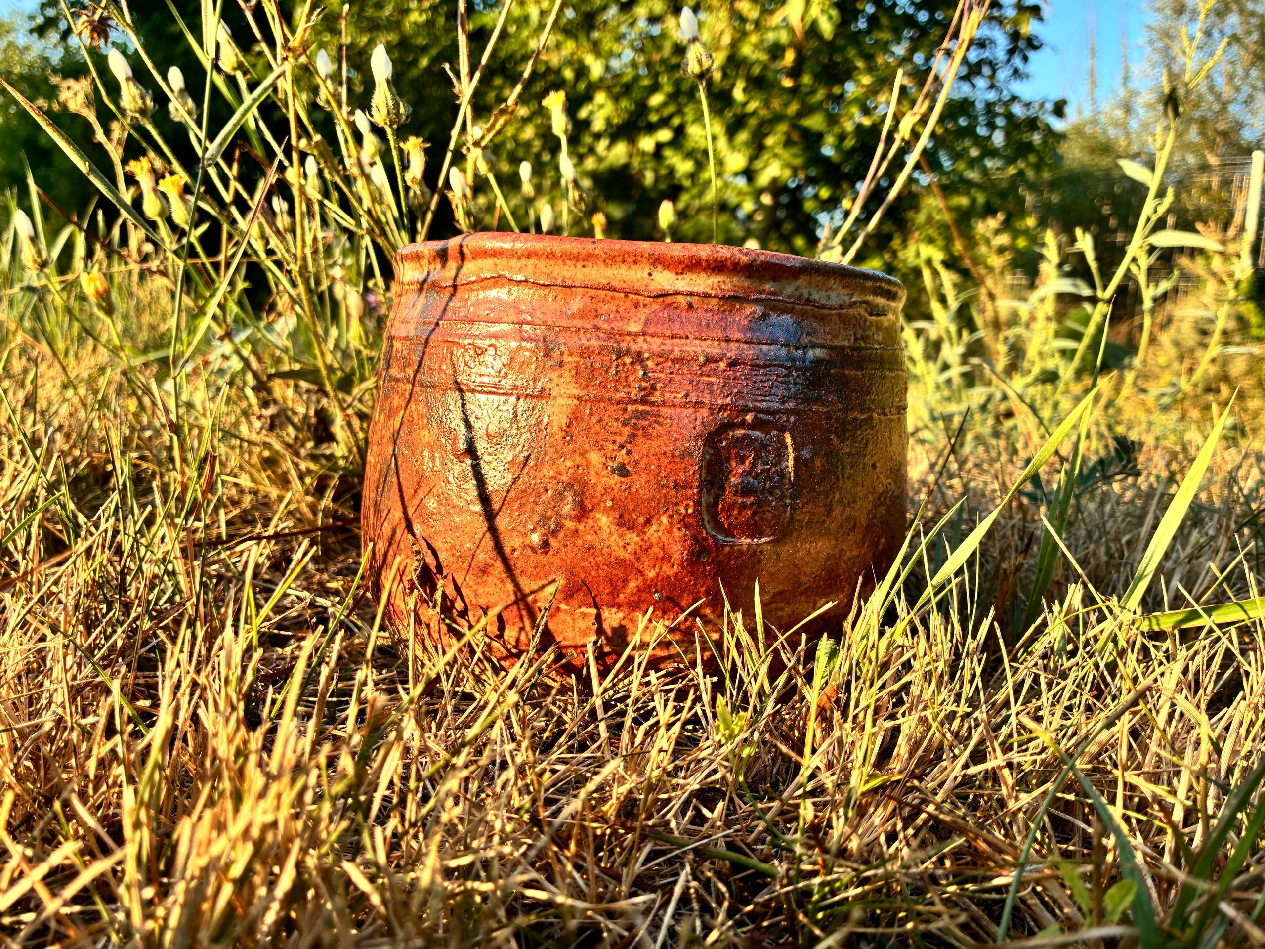 Ardere cu lemne — toamnă